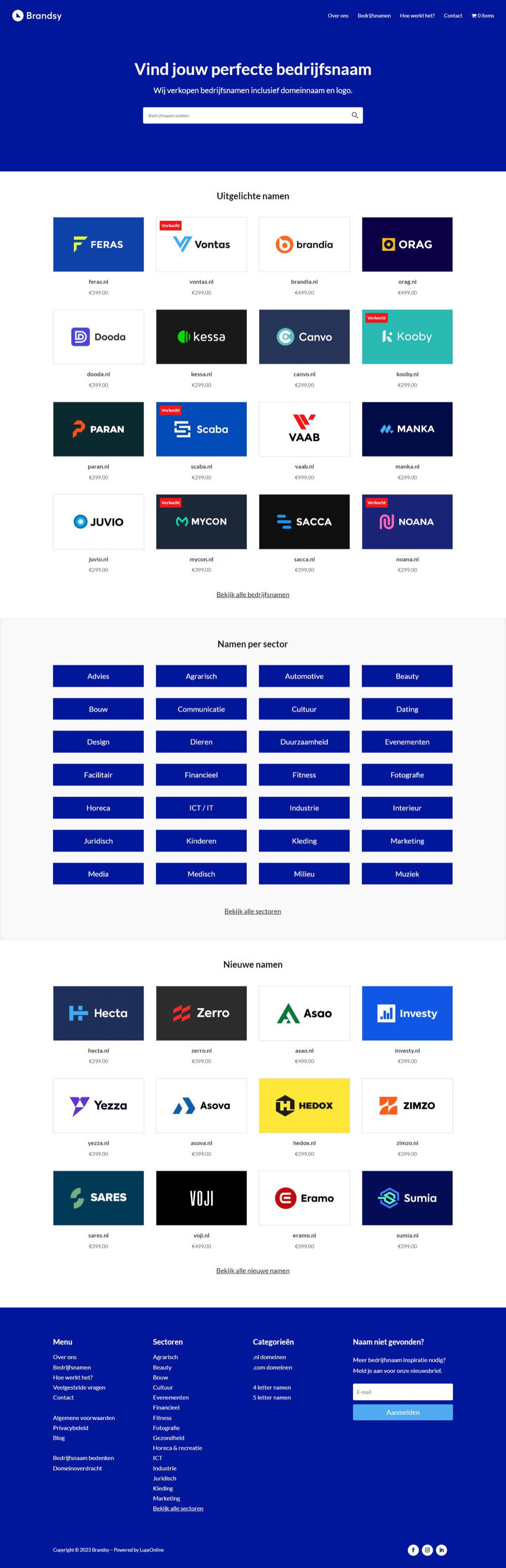 Website Brandsy
