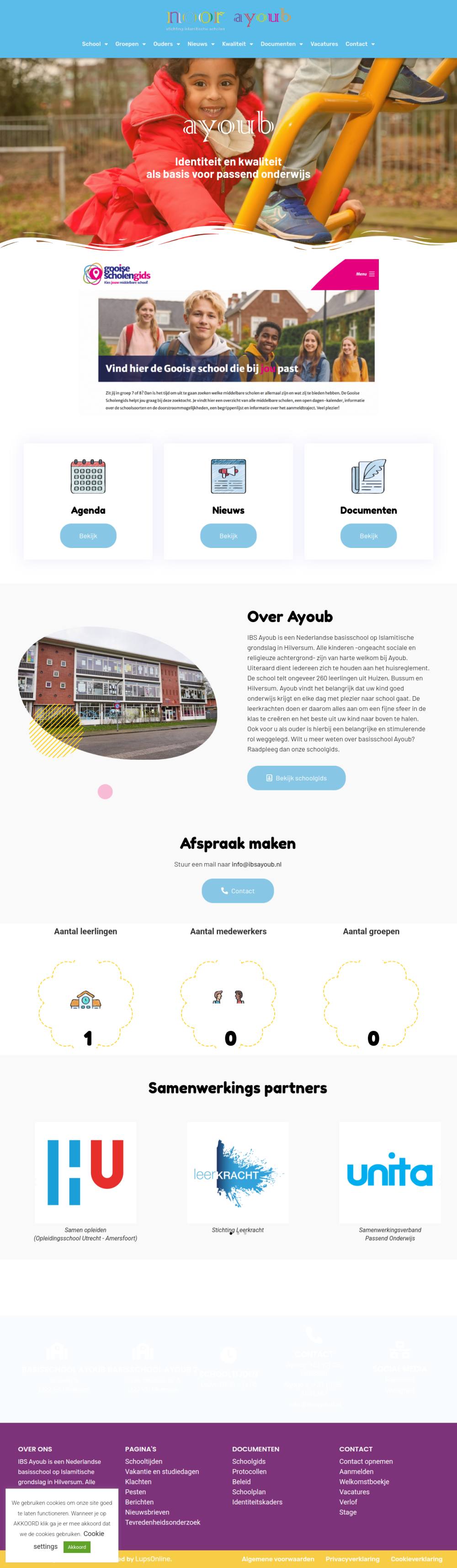 Website IBS Ayoub