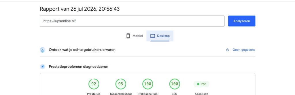 Uitstekende PageSpeed Insights-scores voor lupsonline.nl